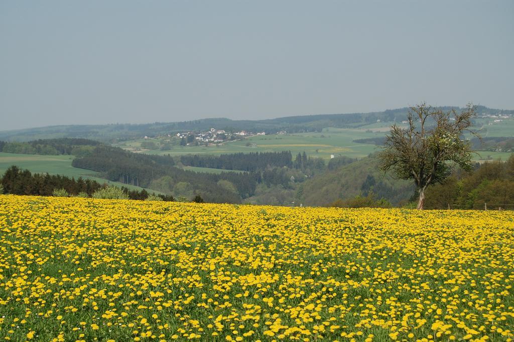 Landgasthaus Pfahl ヴェルスホーフェン エクステリア 写真